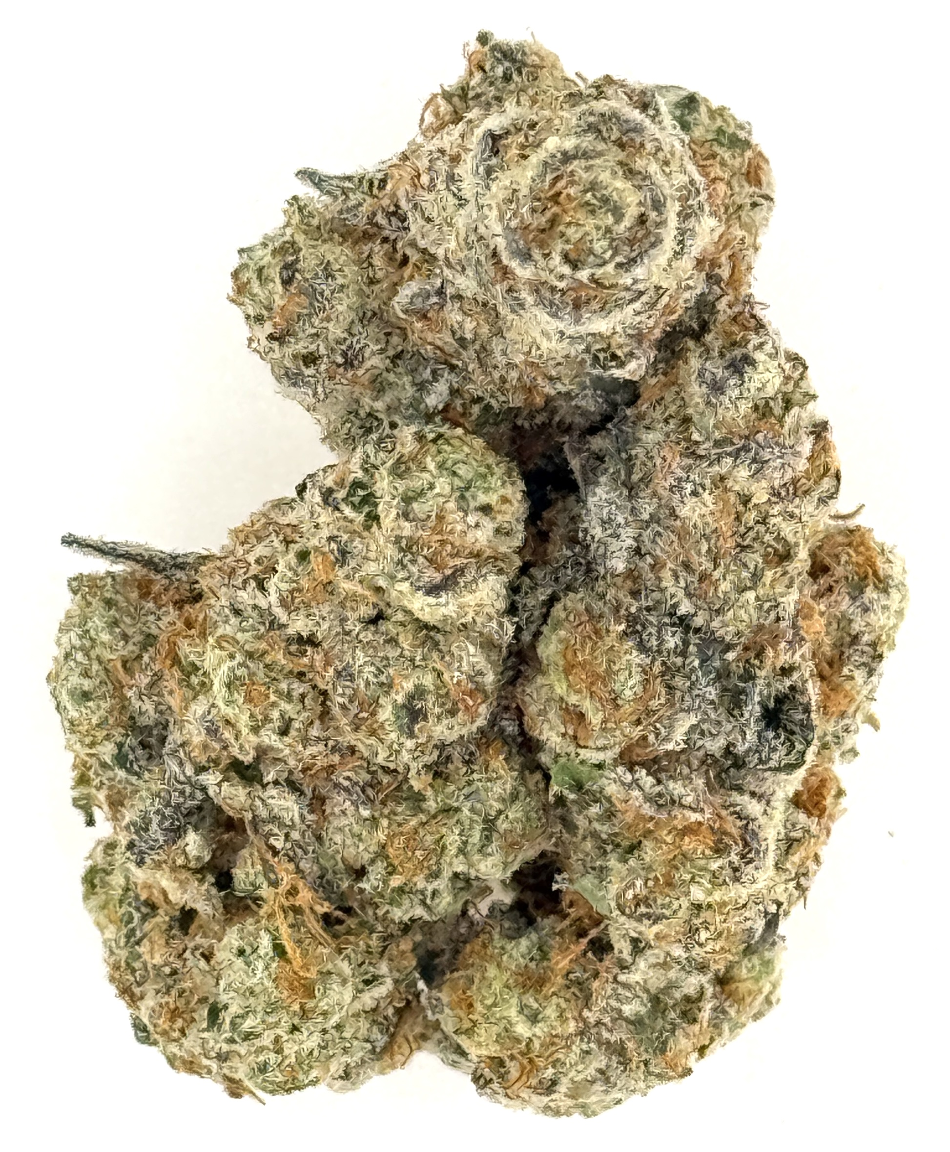 MetroBud Dragon Glass