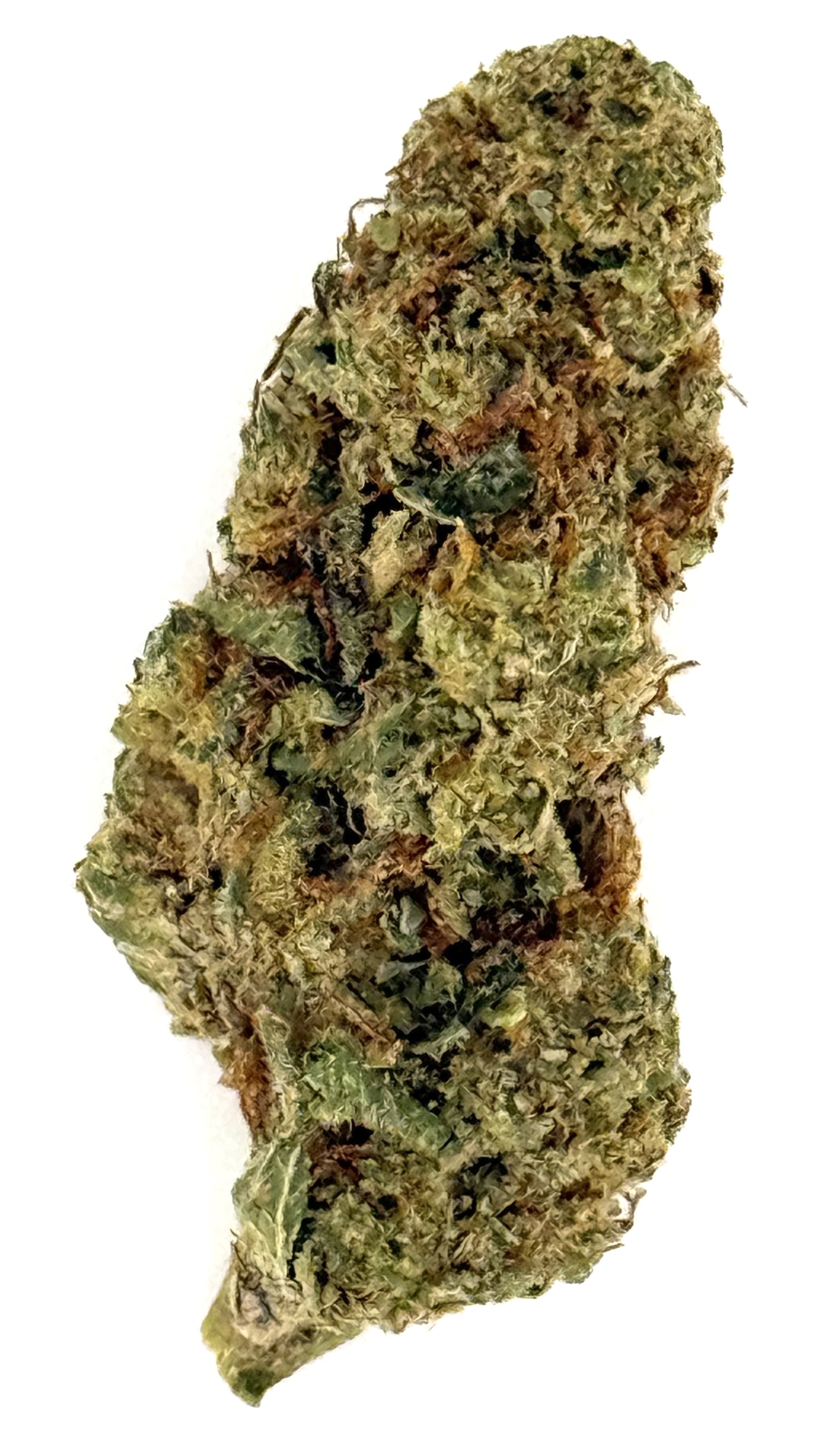 MetroBud Gazzurple