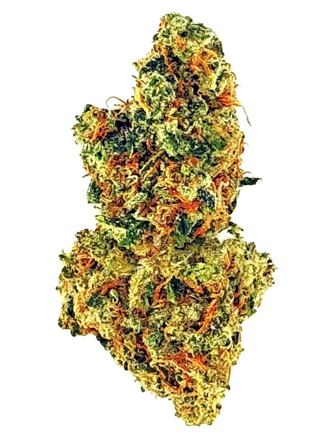 MetroBud Jackapulco Smalls
