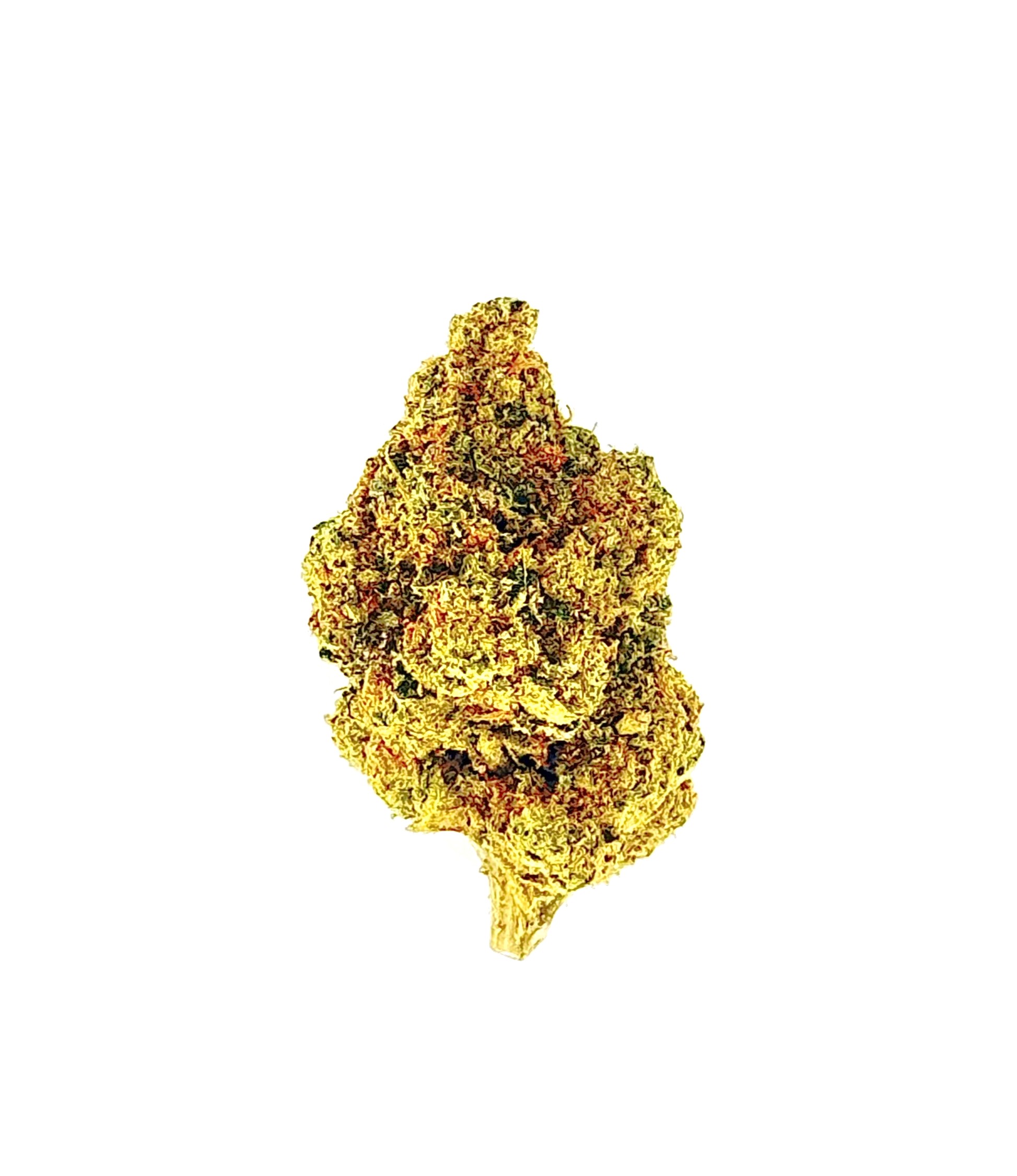 MetroBud E85