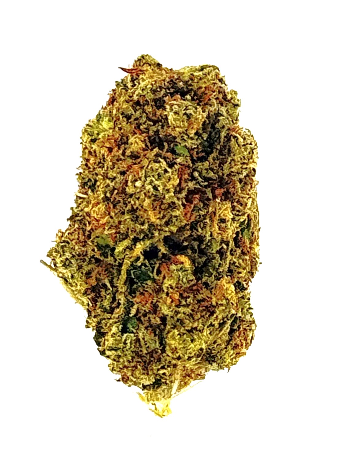 MetroBud Lululemon
