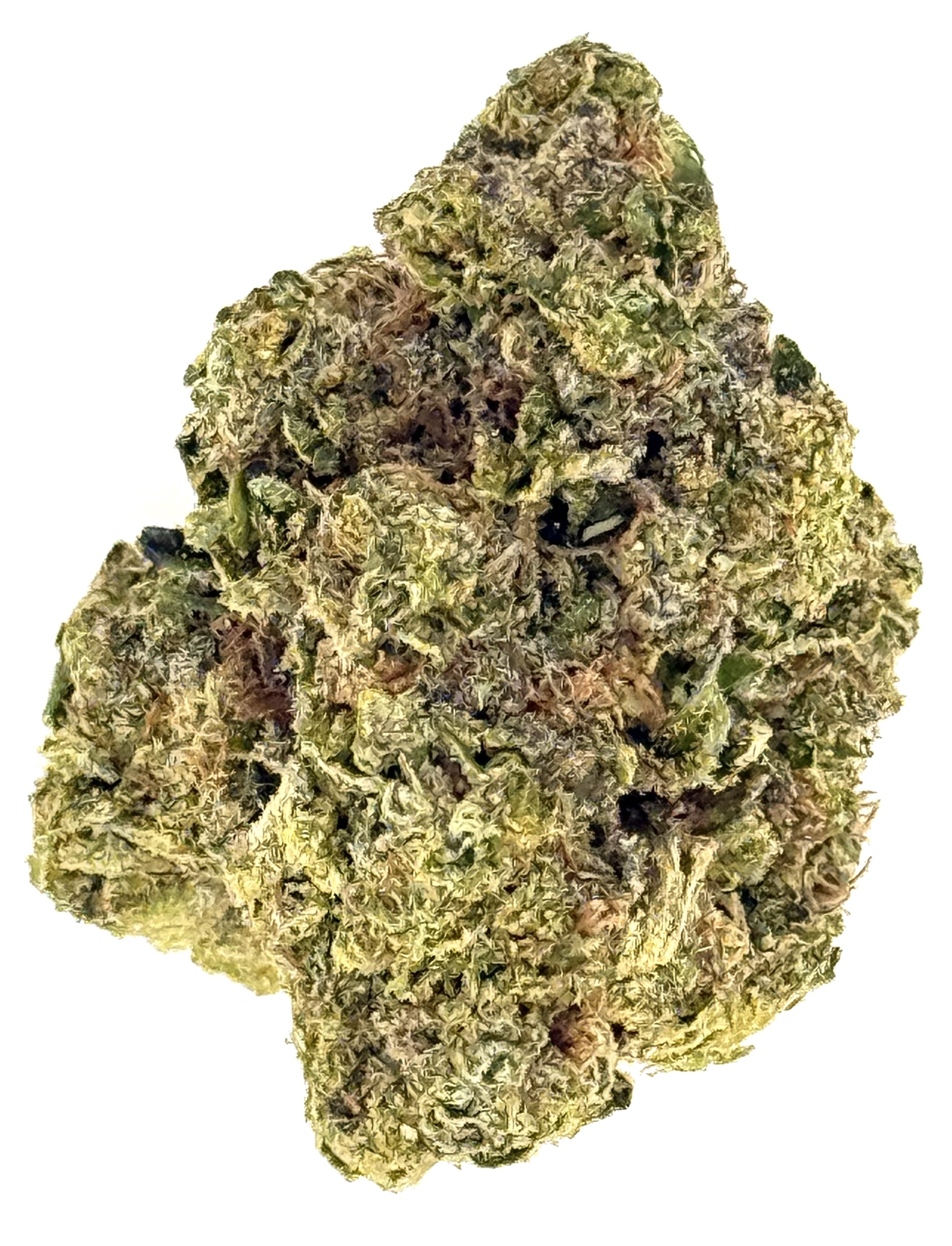 MetroBud Jelly Donut