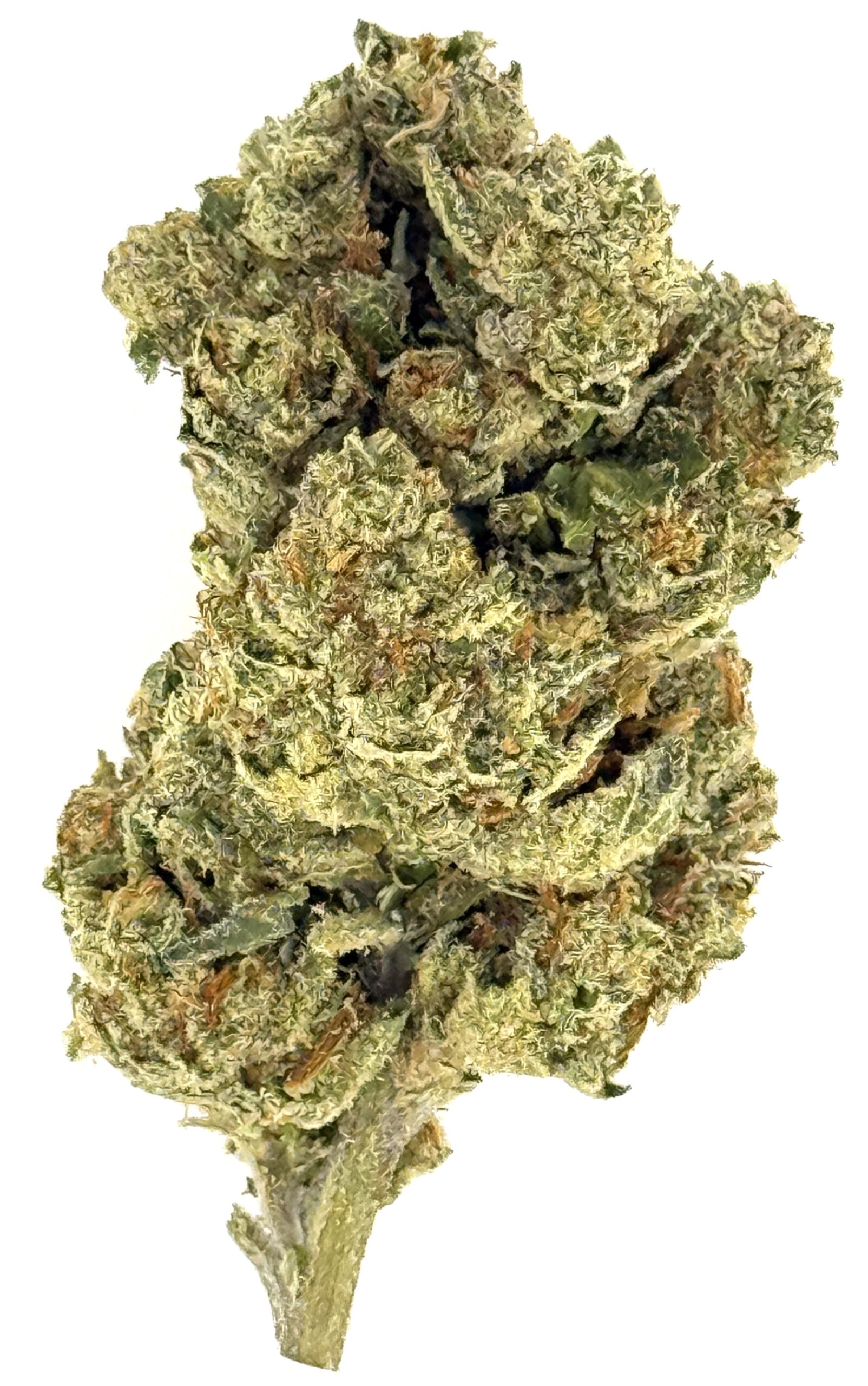 MetroBud Giraffe Puzzy