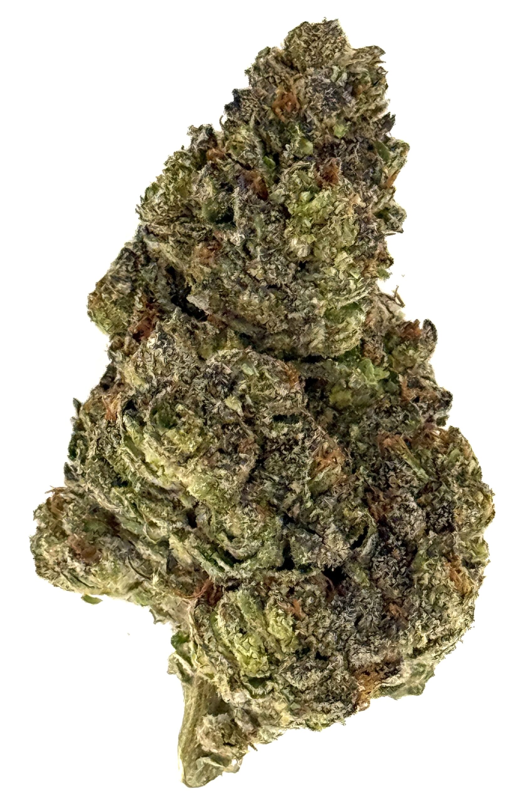 MetroBud Jolly Rancherz