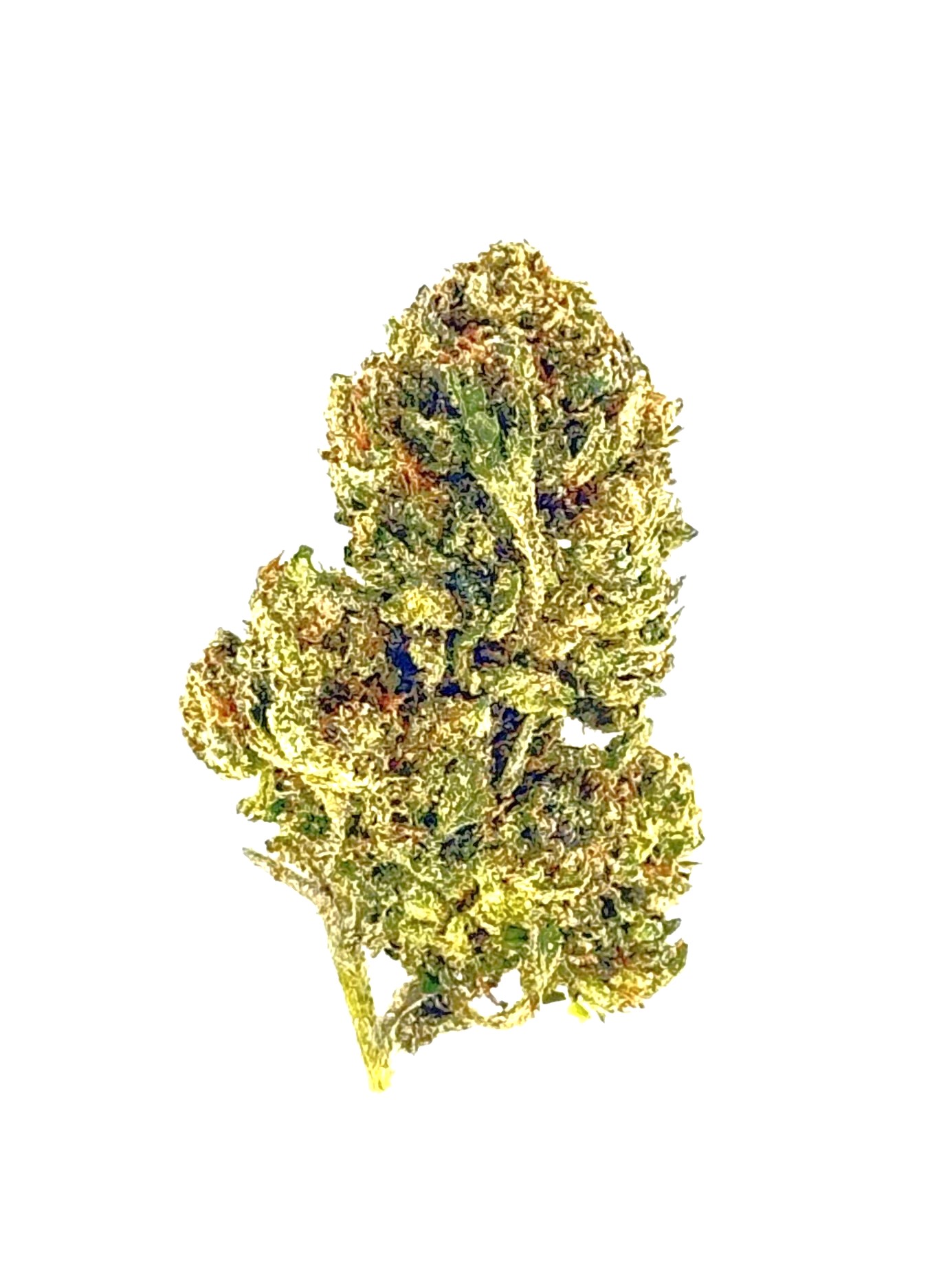 MetroBud Bubblegum Popperz (Ounce)