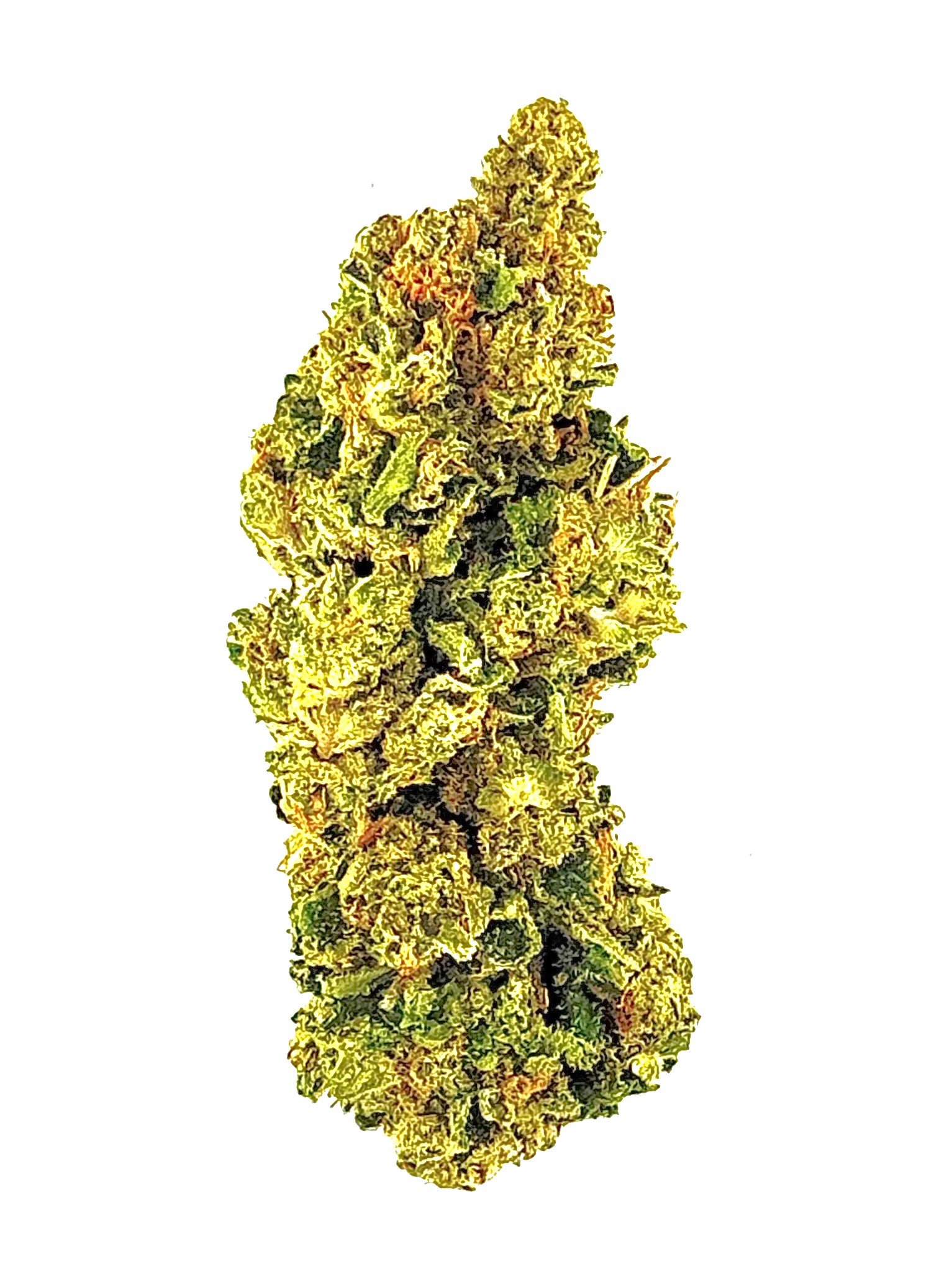 MetroBud Grape Cake