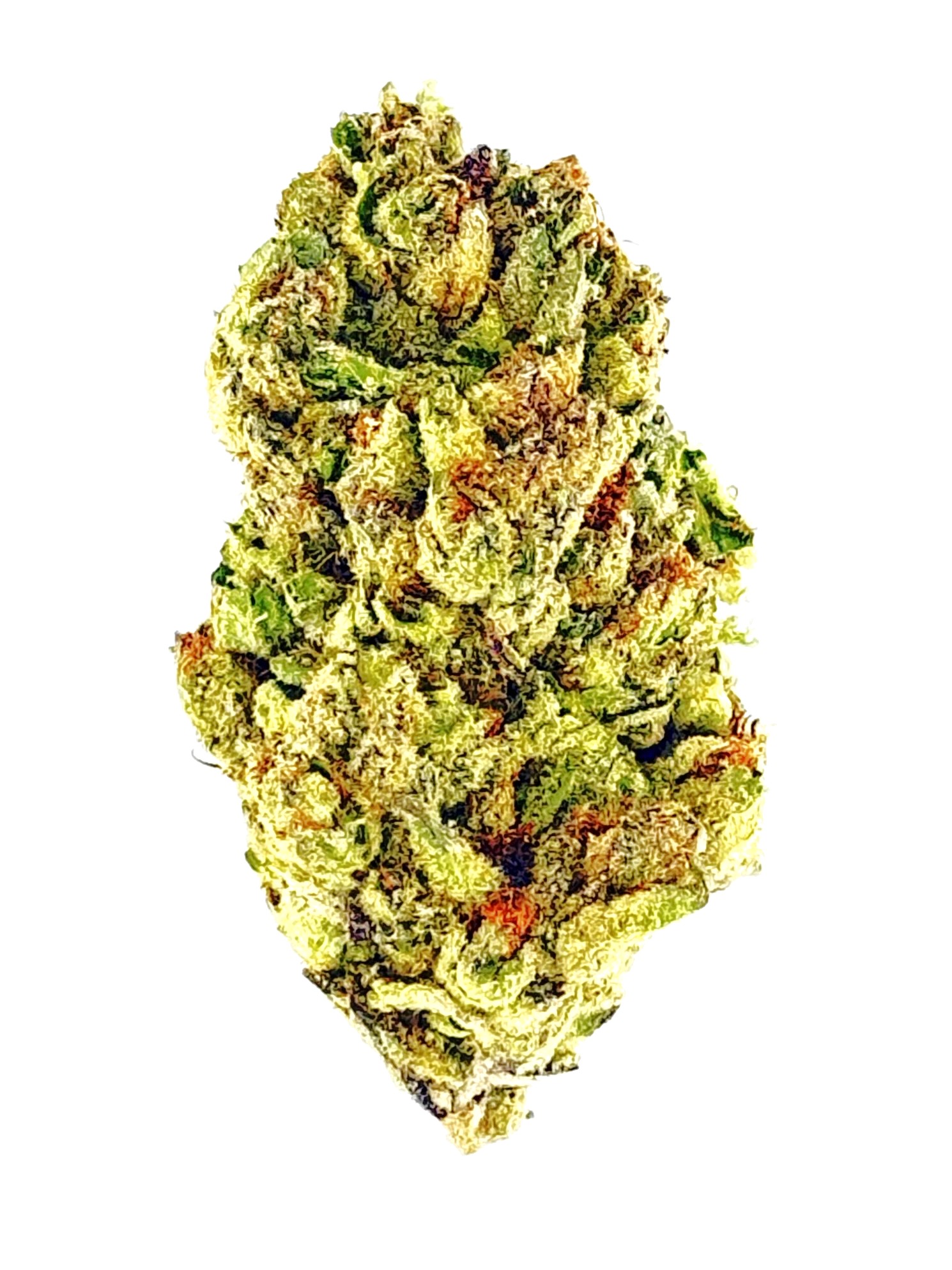 MetroBud Papayamosa