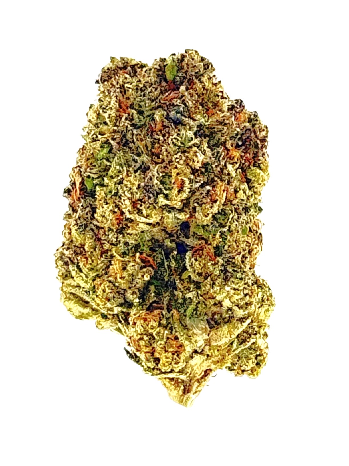 MetroBud Red Hawk
