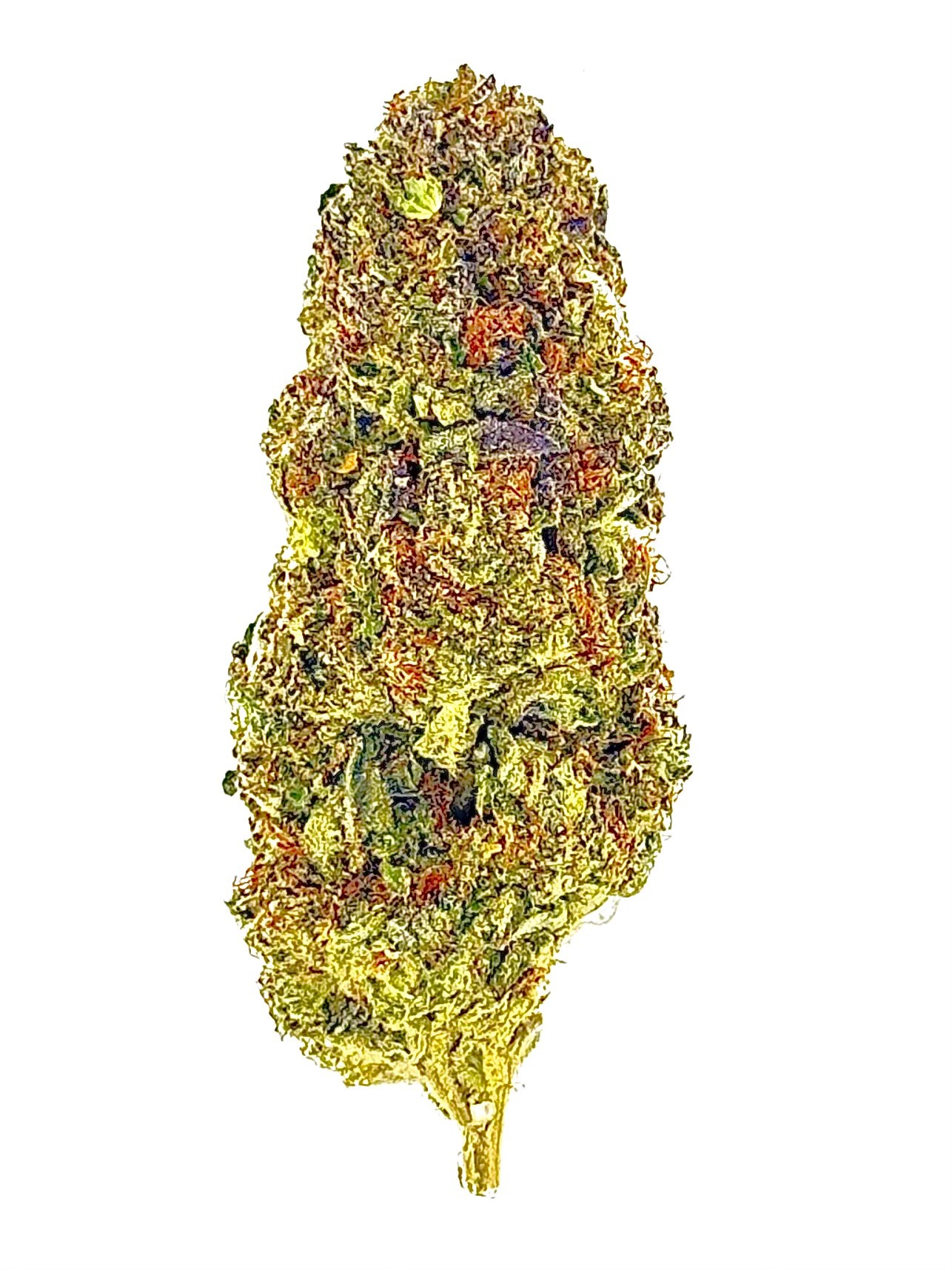 MetroBud White Caviar