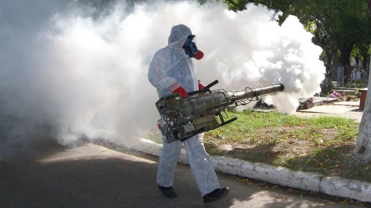 México enfrenta una alarma por el aumento de casos de Dengue: más de 30 mil contagios y 80 muertes