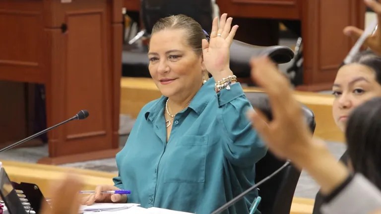 Guadalupe Taddei INE