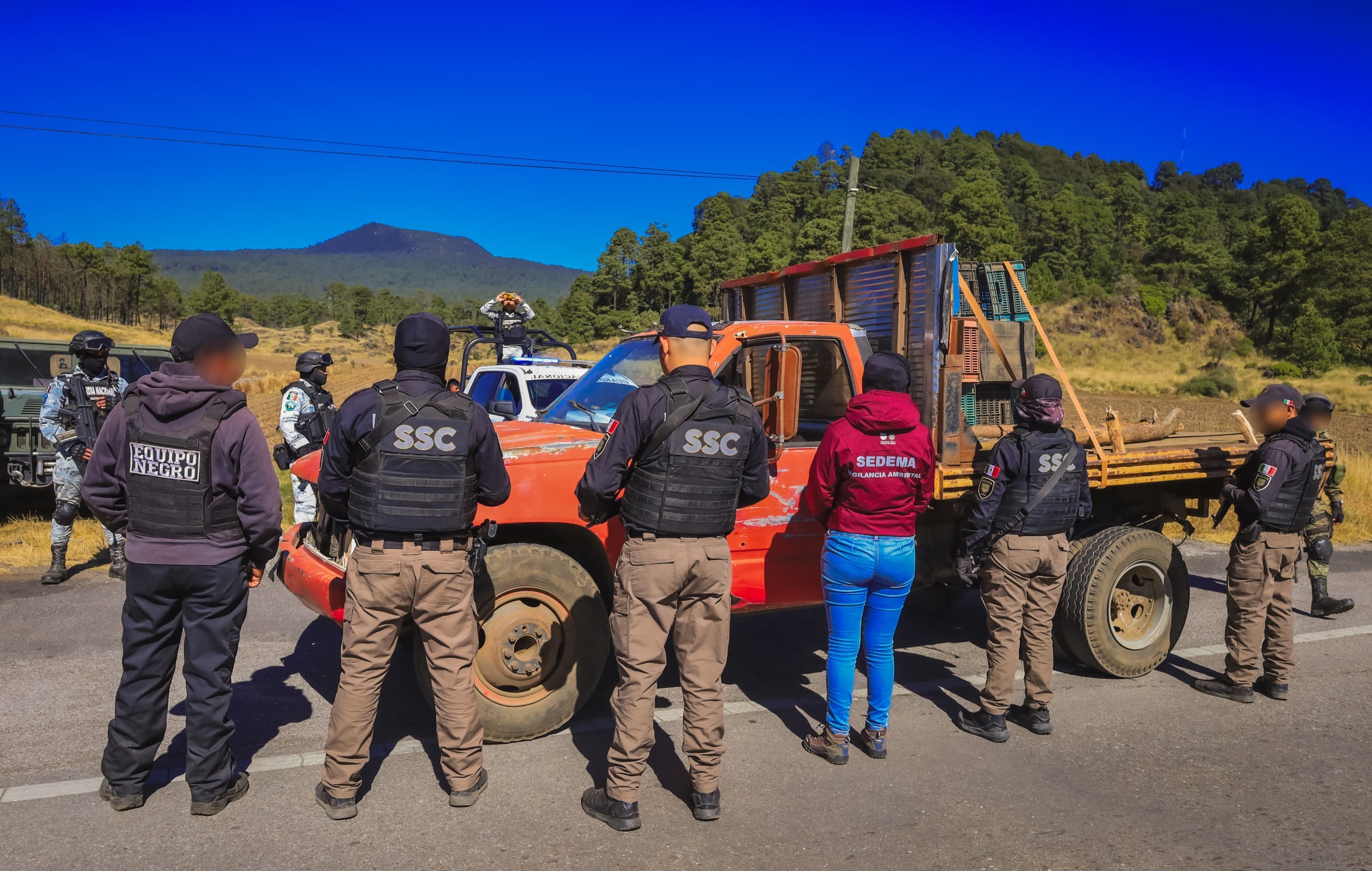 CDMX refuerza operativos contra tala ilegal en Tlalpan
