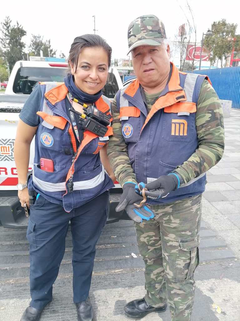 Olvidan vibora de agua en vagón del Metro