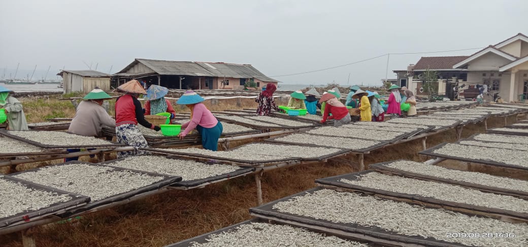 Pulau Pasaran Sokong Kemajuan Ekonomi Kreatif Lampung – Metropolis.co.id