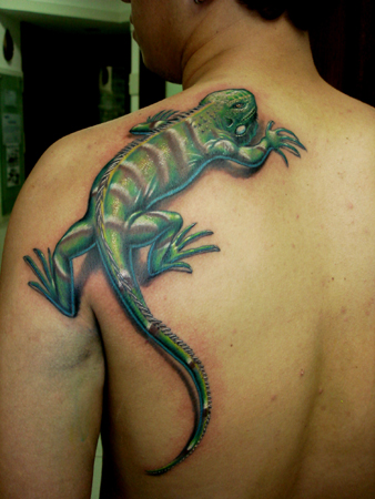 Camaleão significado da tatuagem Simbologia Do Camaleao