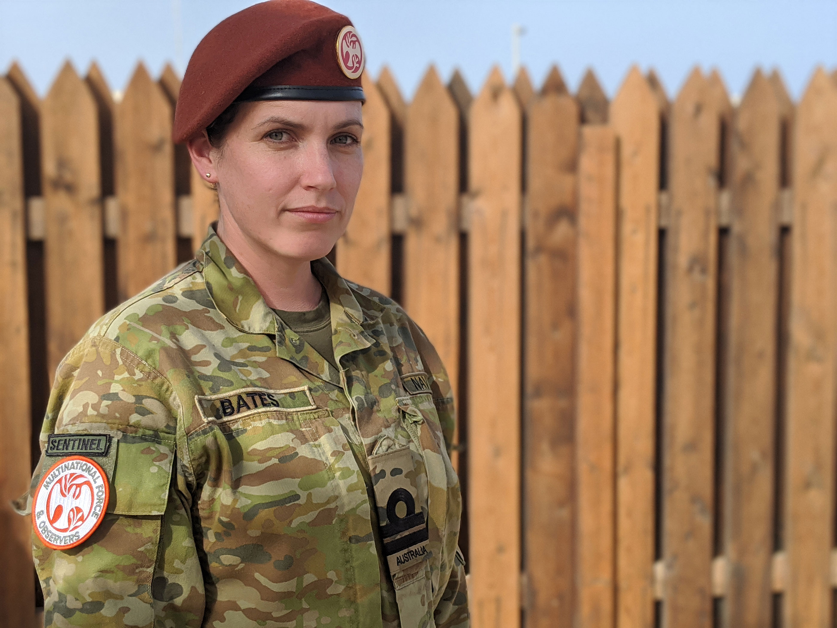 Mfo Contingents - Premium Vintage Pattern Gallery - HD