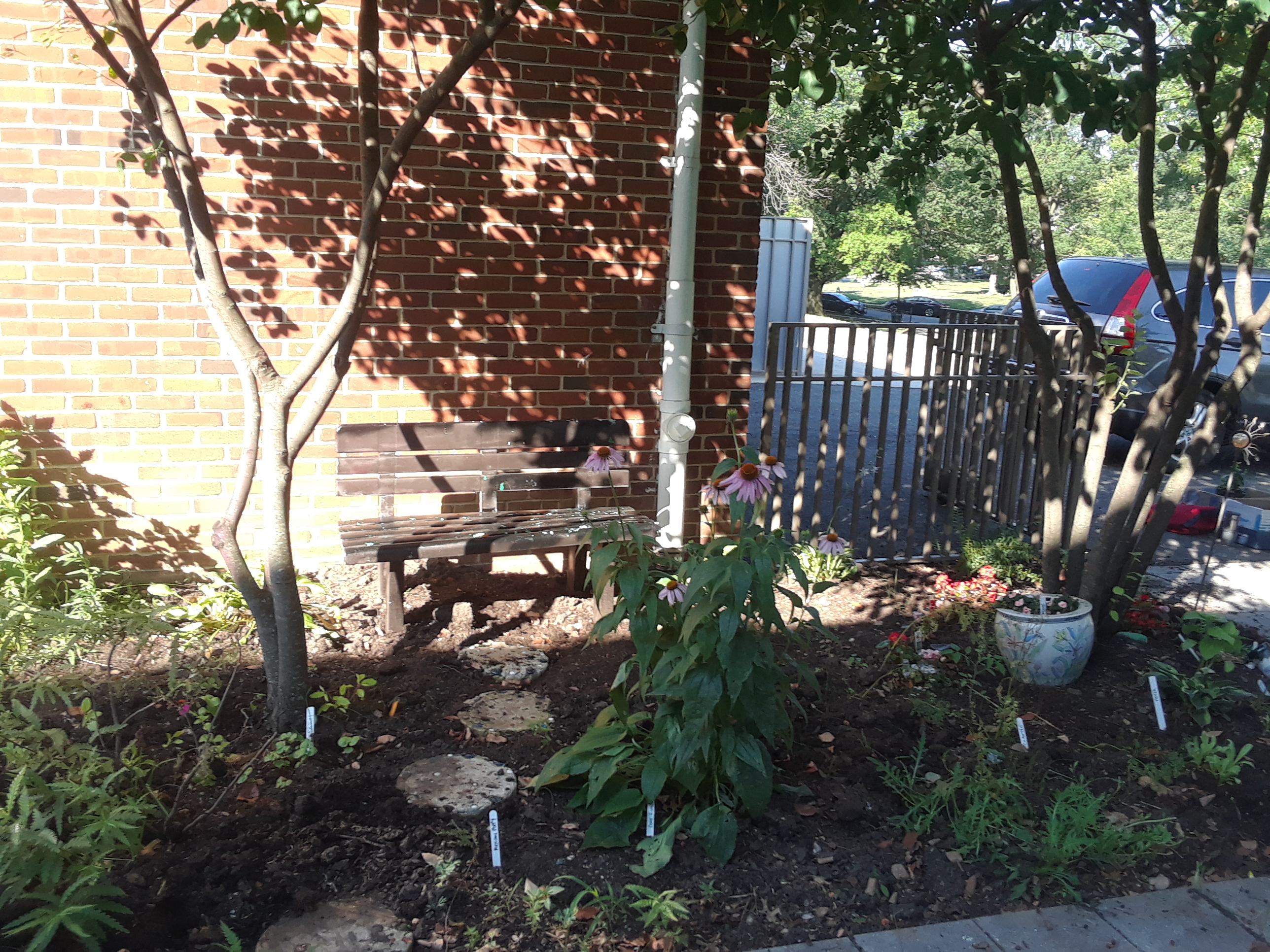 Bench in the shade by back gate
