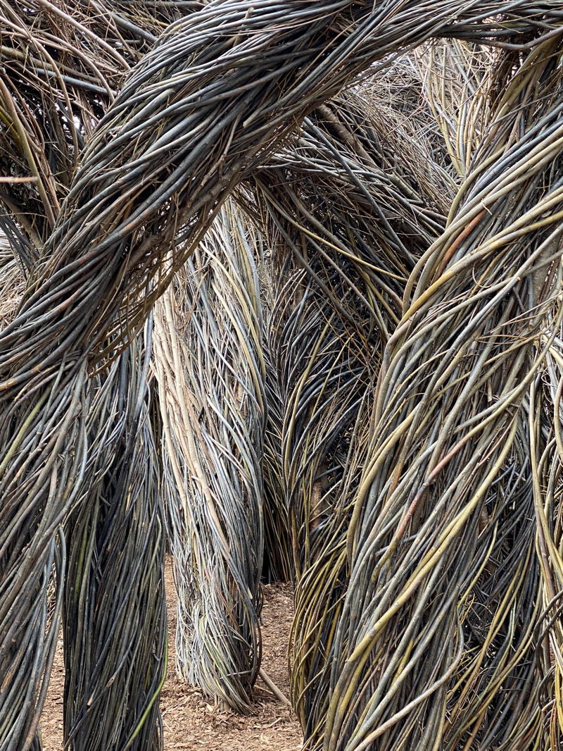 Woven plant material includes branches of willow and several invasive tree species. Sculpture by Patrick Dougherty.