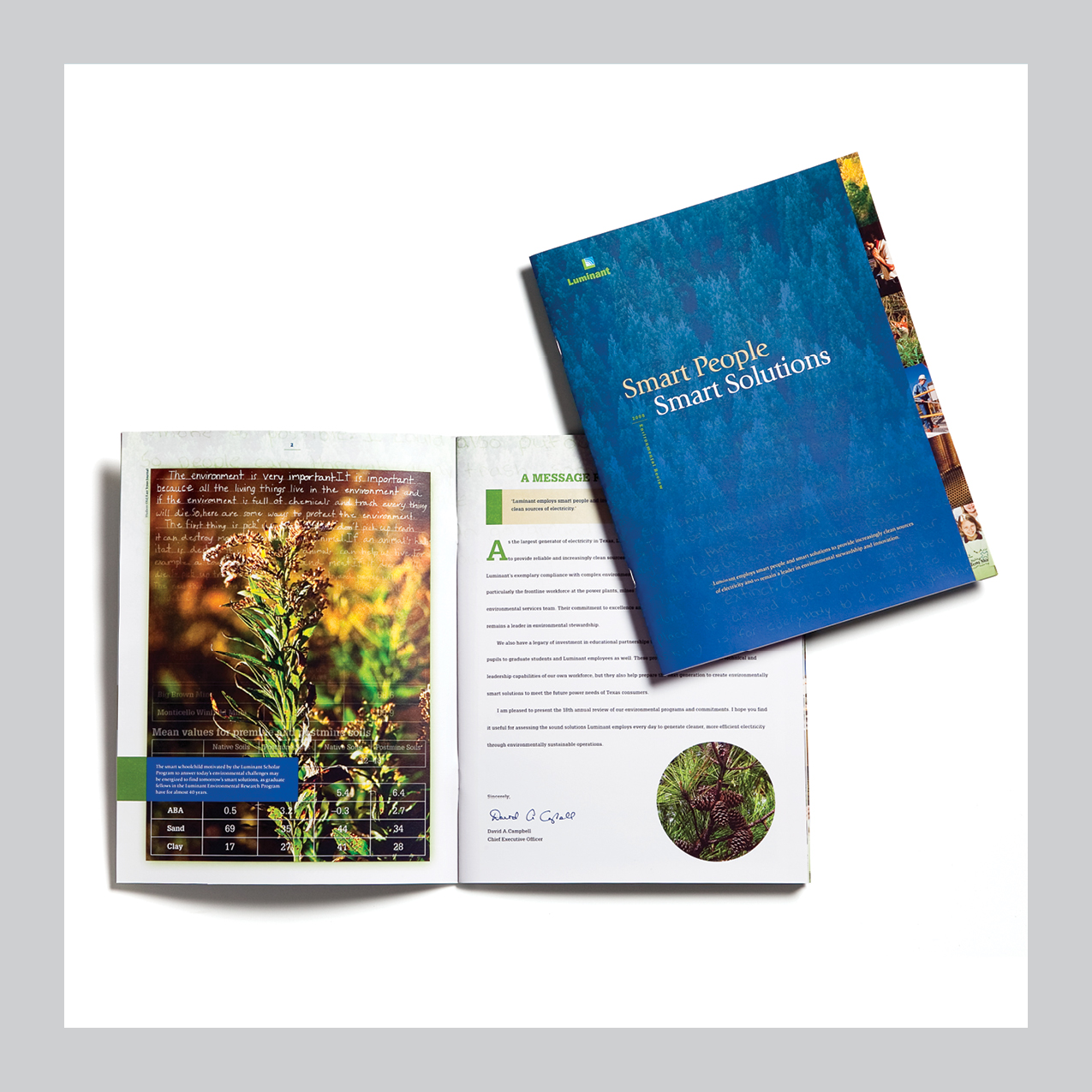 Luminant Environmental Review