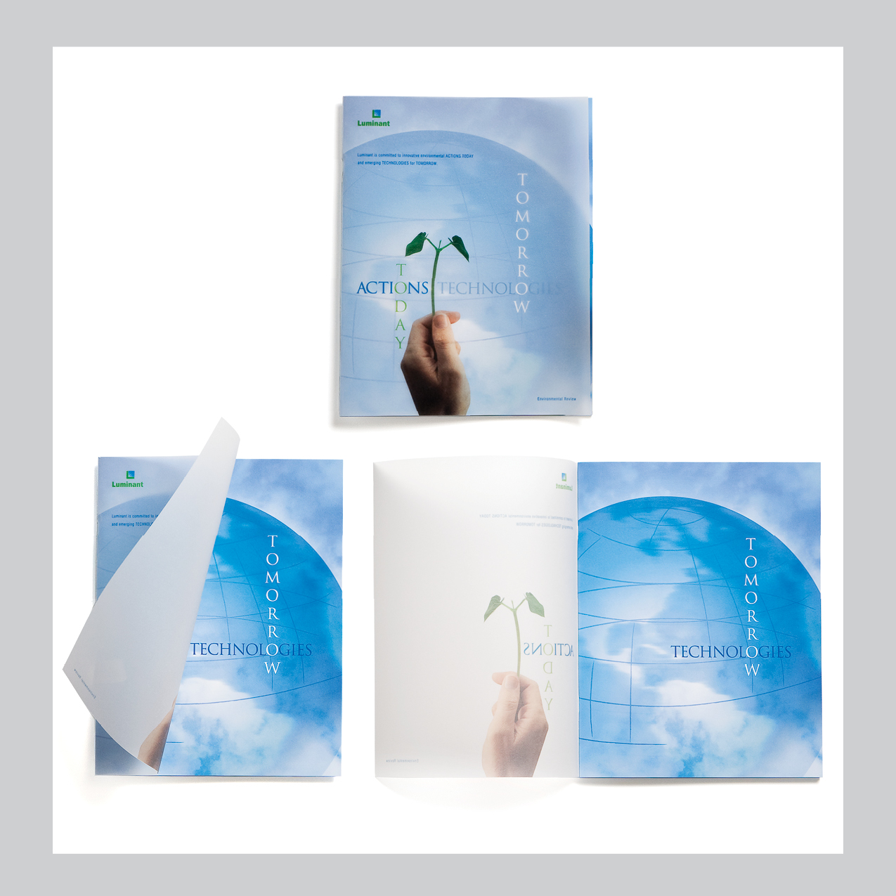 Luminant Enviromental Review