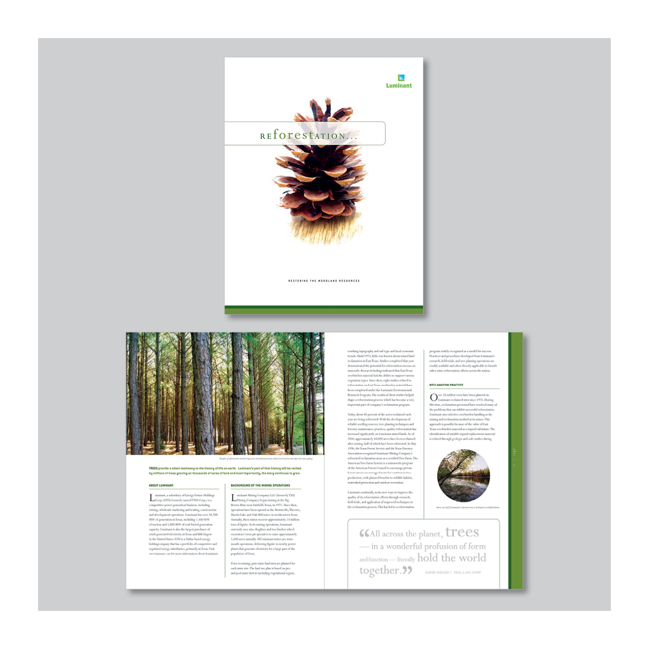 Luminant "Reforestation" environment report