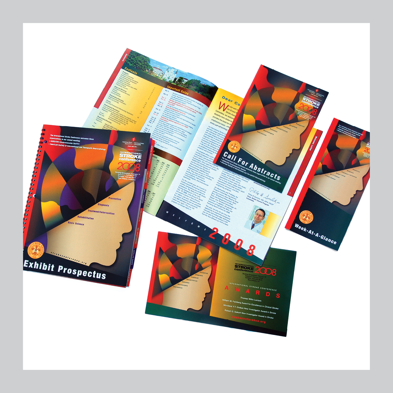 American Heart & American Stroke Association | International Stroke Conference campaign materials