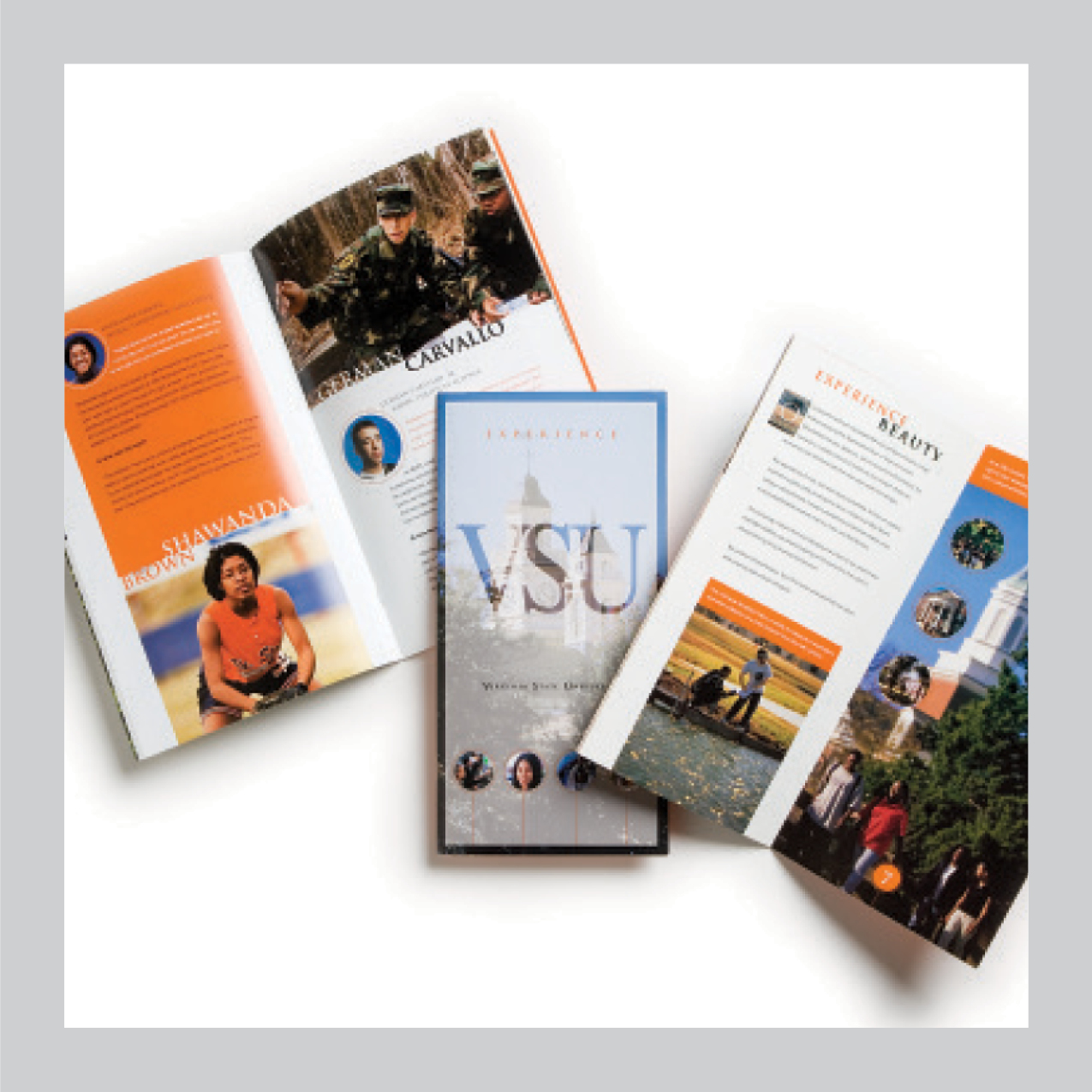 Virginia State University search piece and viewbook