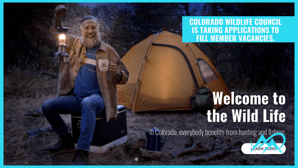 Become Involved with Colorado Wildlife Conservation