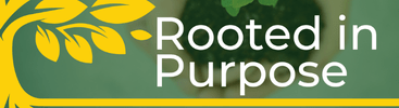 rooted featured