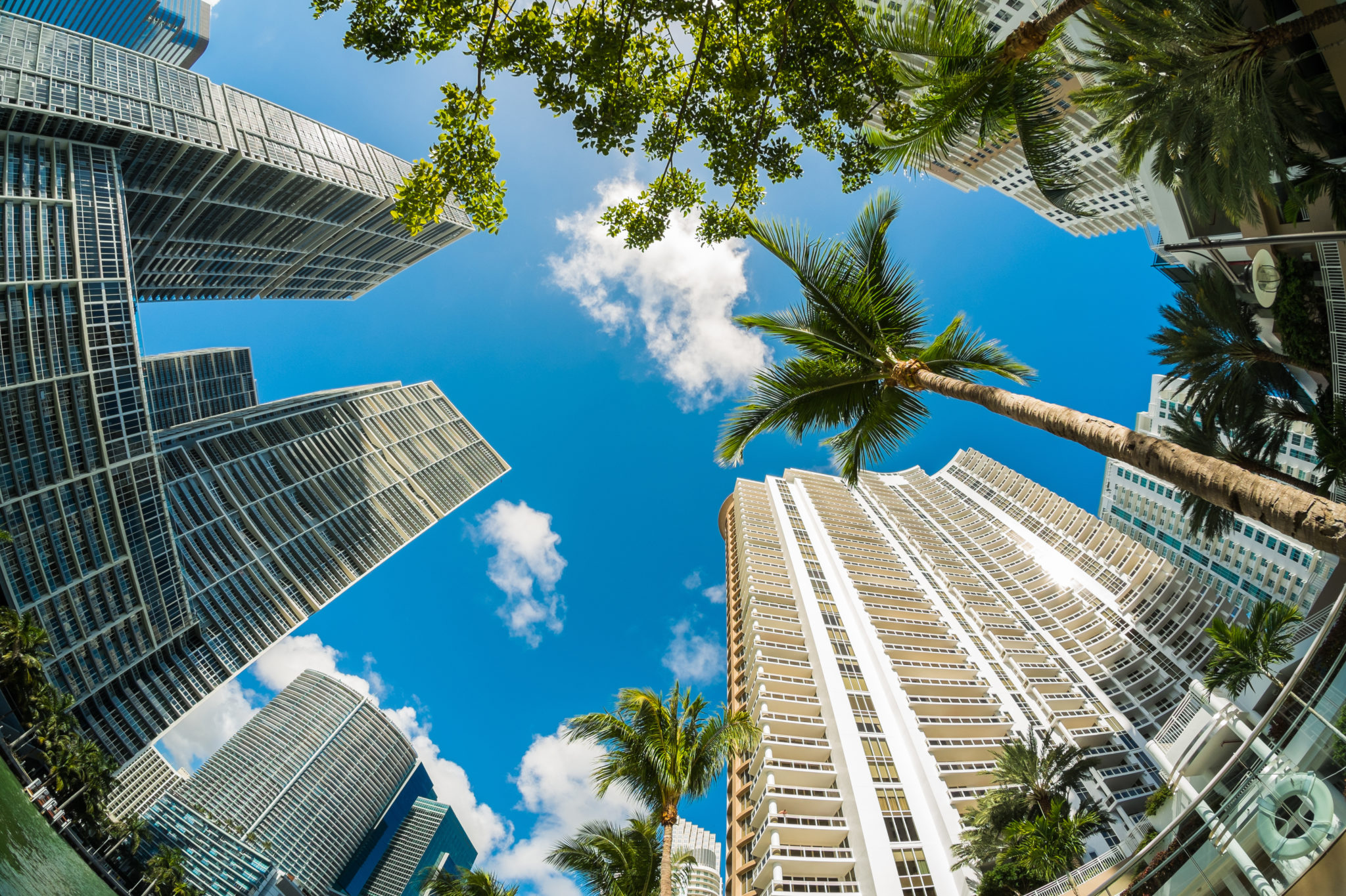 Miami Networking Events