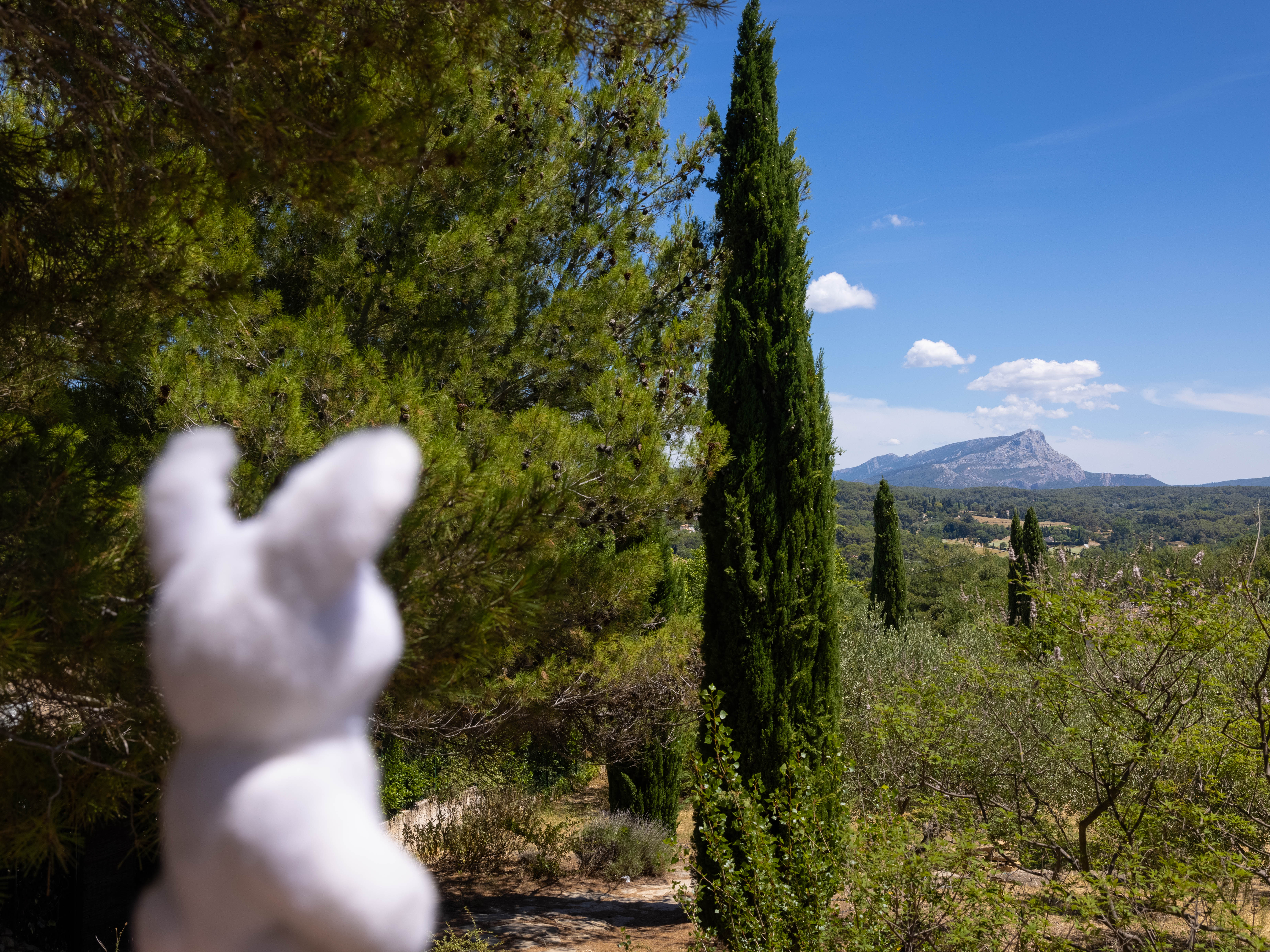 A Summer in Provence