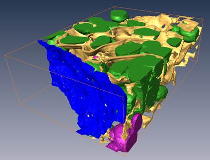 Mib Visualization Every Node Within Mib Structure Has Its Own Number - Modern Space Picture - Retina