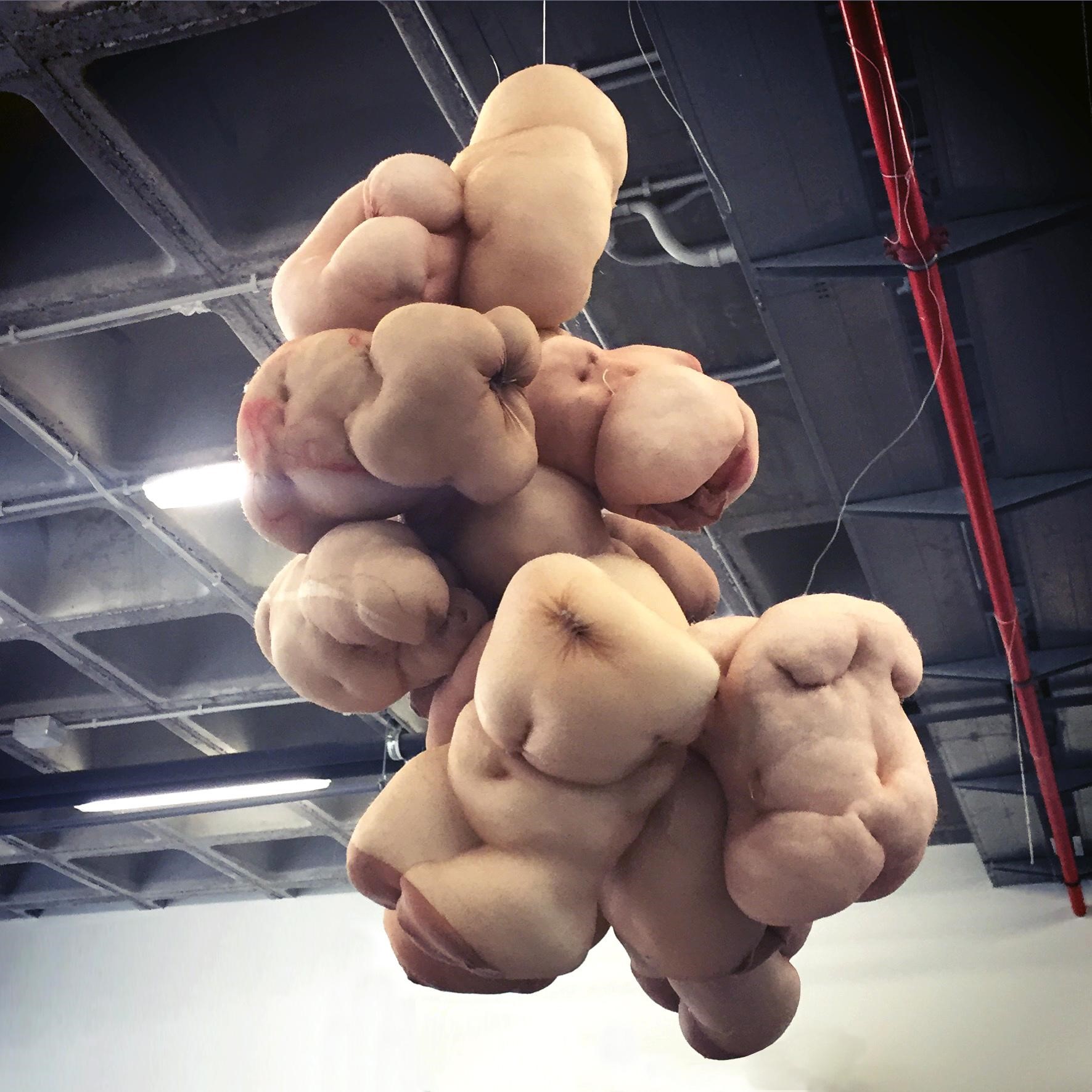 coso esc, medidas, técnica