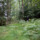 Curating-Climate_08 thumbnail