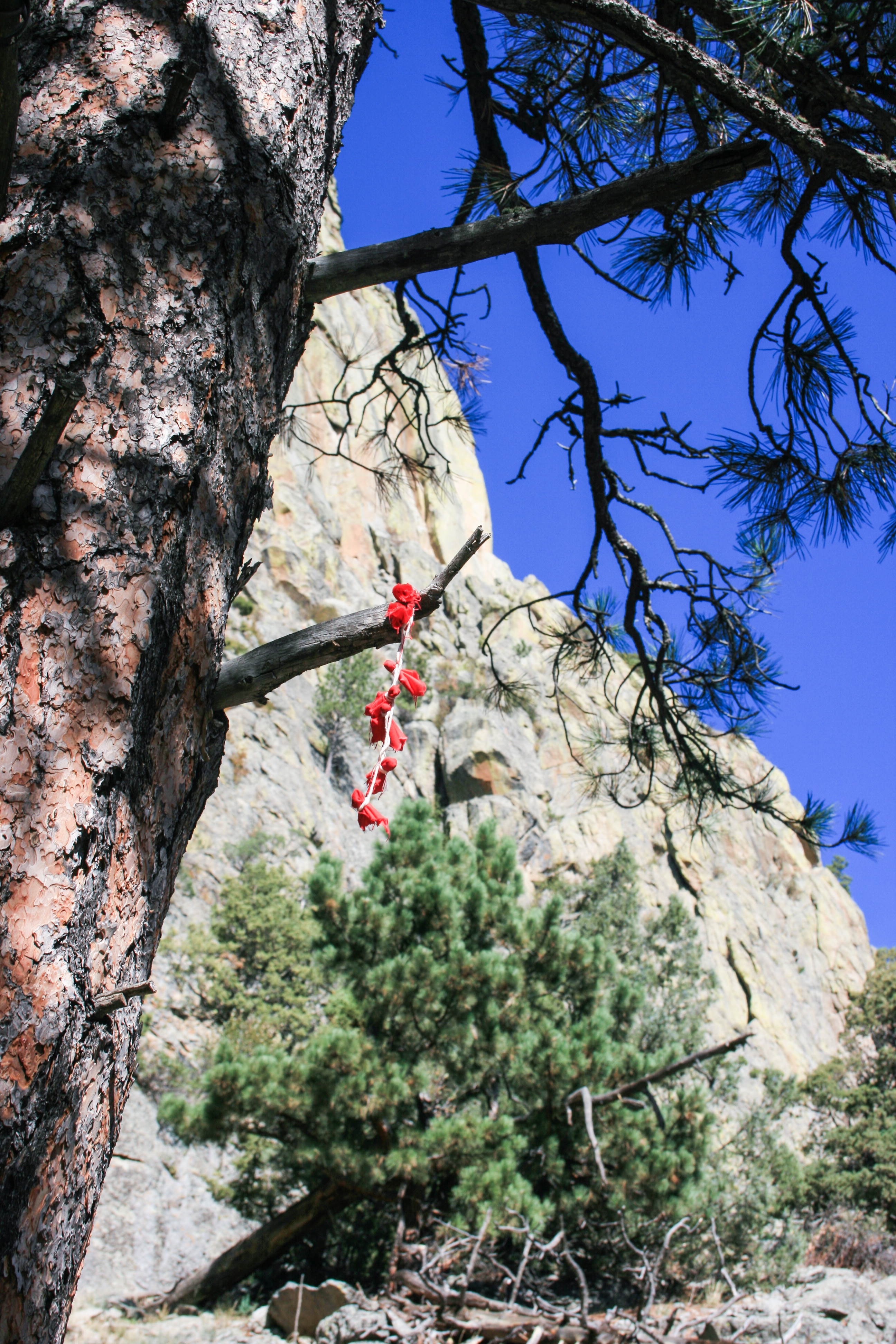 Devil's Tower 030_edited