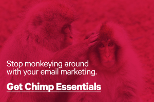 Learn Mailchimp from Paul Jarvis in this online course.