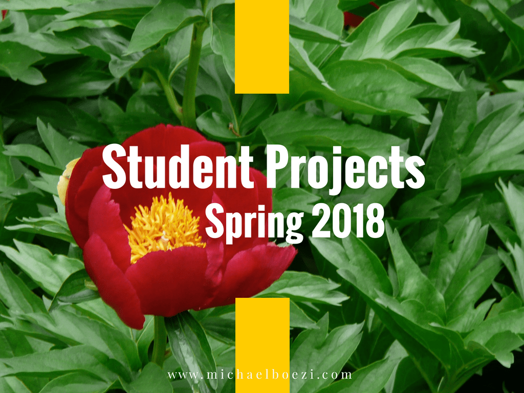 teaching, college, content strategy, Emerson