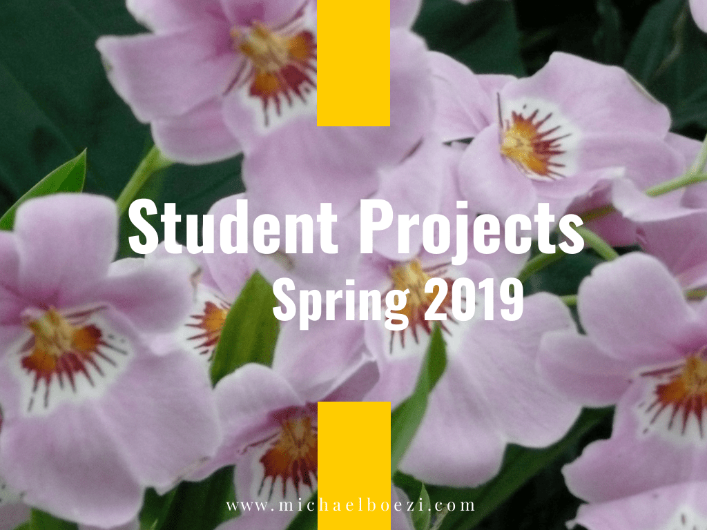 teaching, college, content strategy, Emerson