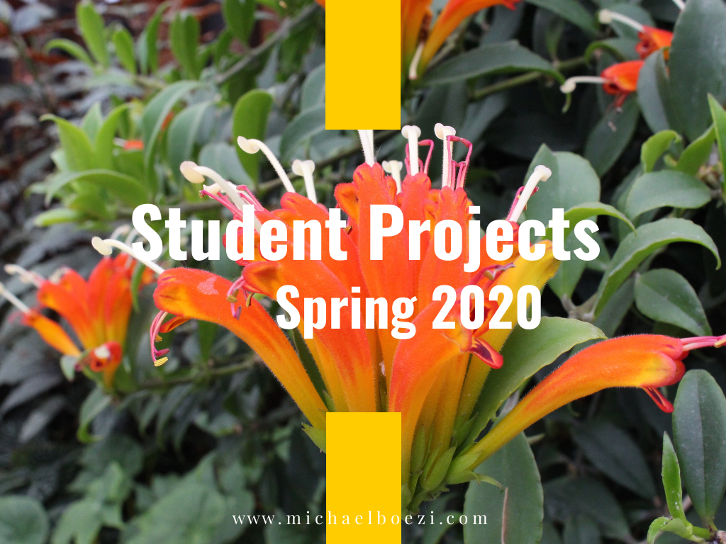 teaching, college, content strategy, Emerson