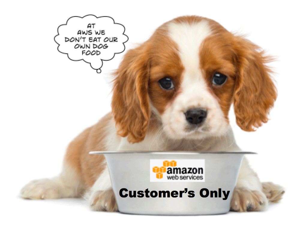 AWS Customer Dog Food