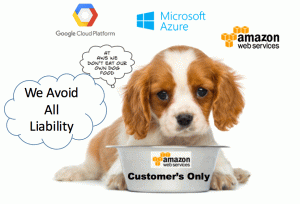 AWS Avoids Liability