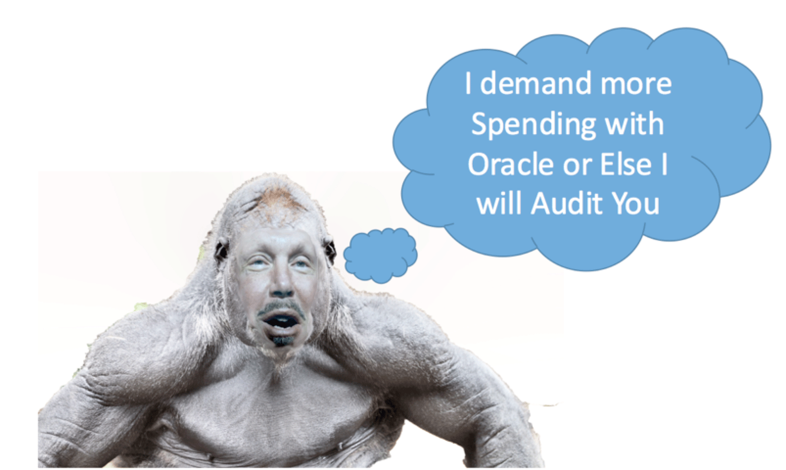 VLSS Oracle Audit Protection Guarantee