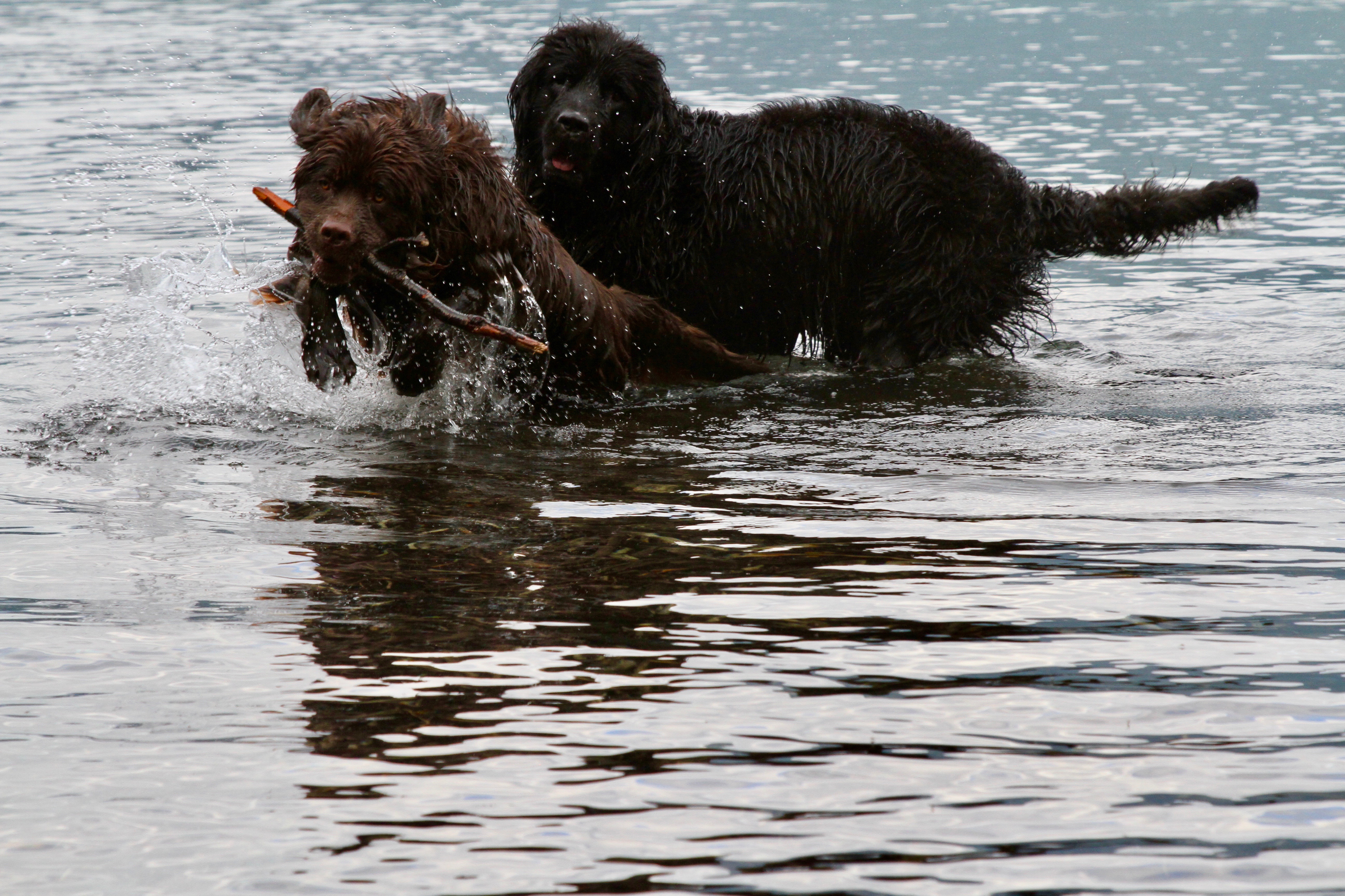 Crescent Lake, Olympic National Park