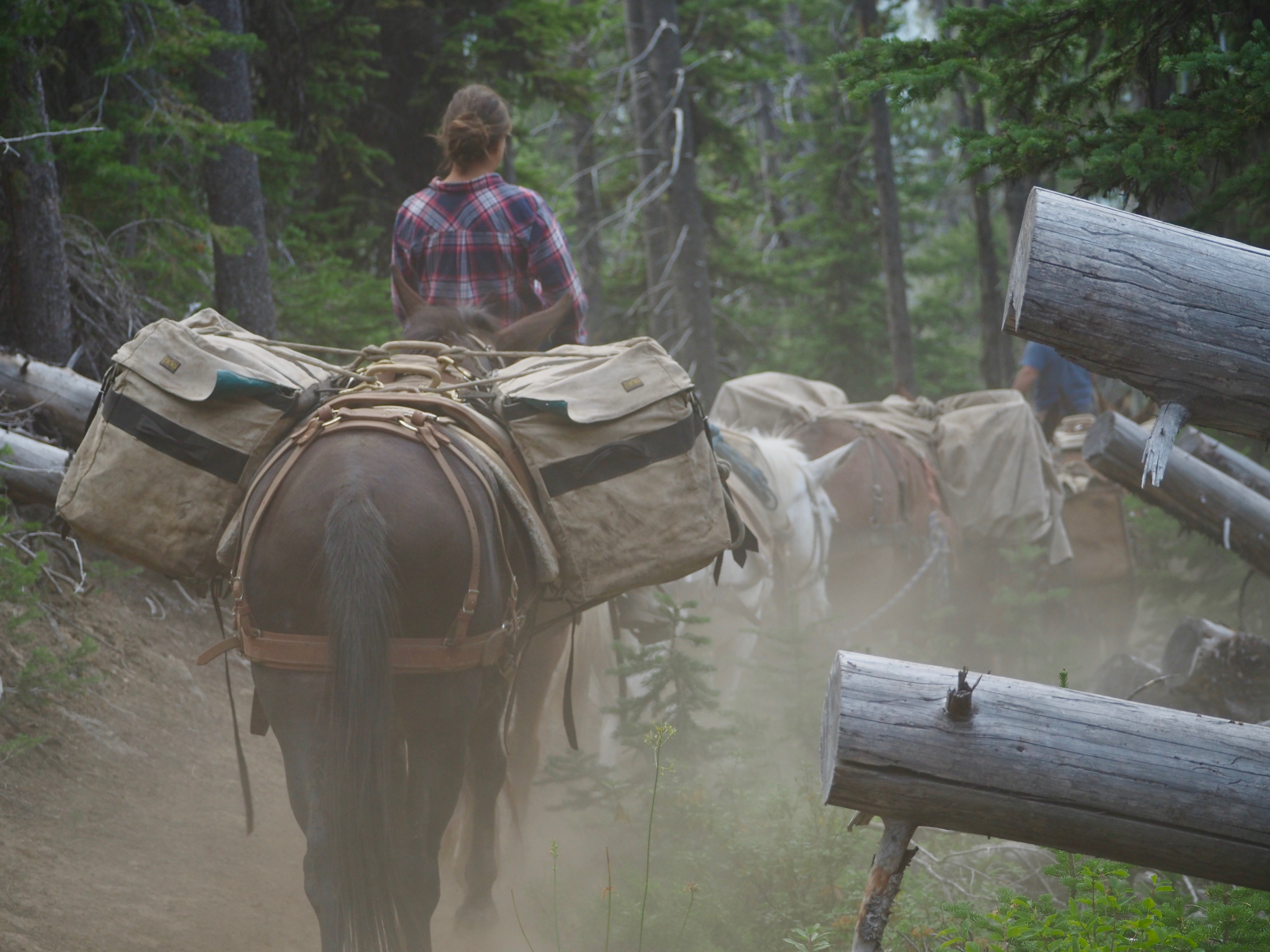 A crowded trail at times