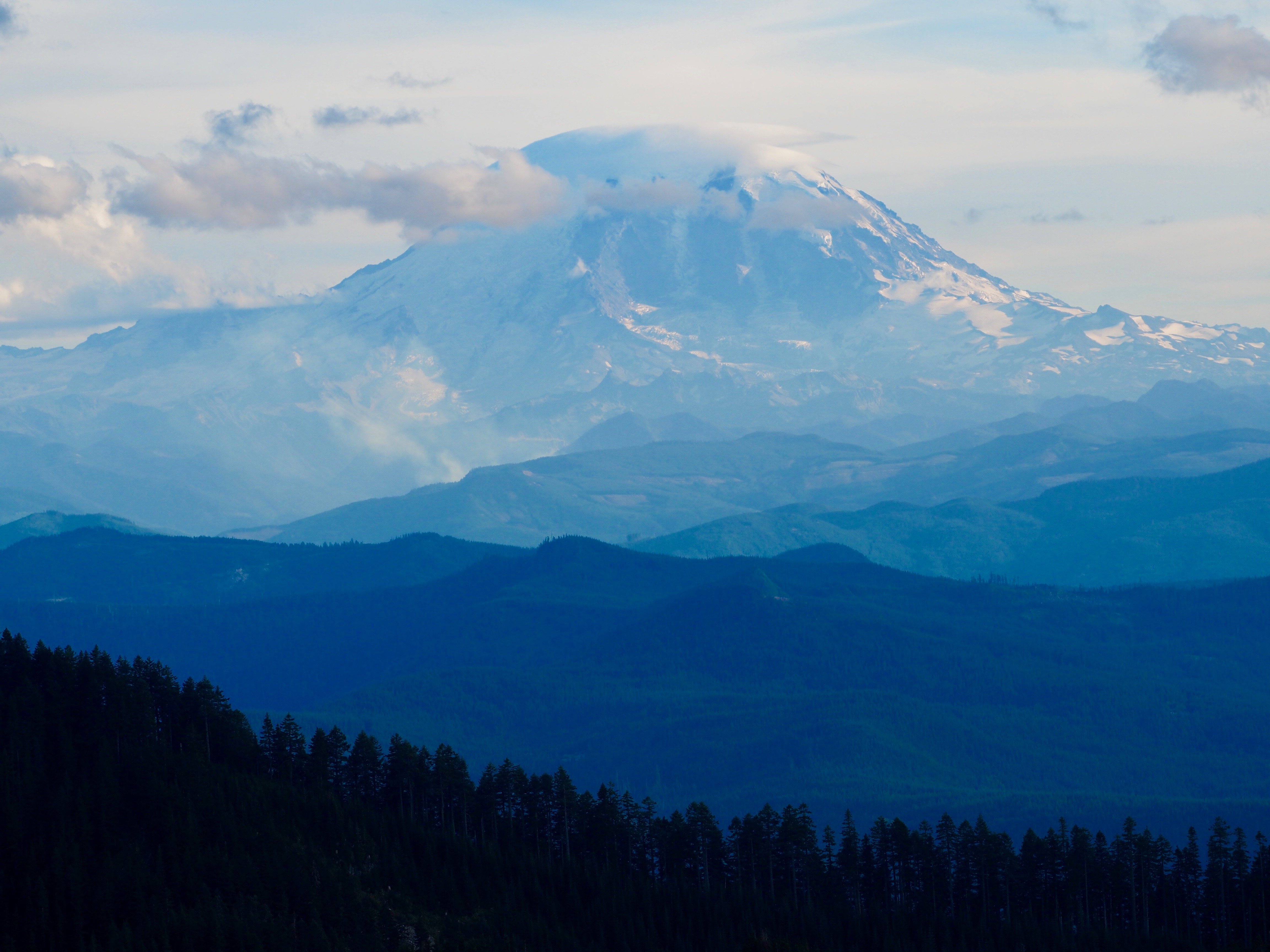 OLYMPUS DIGITAL CAMERA