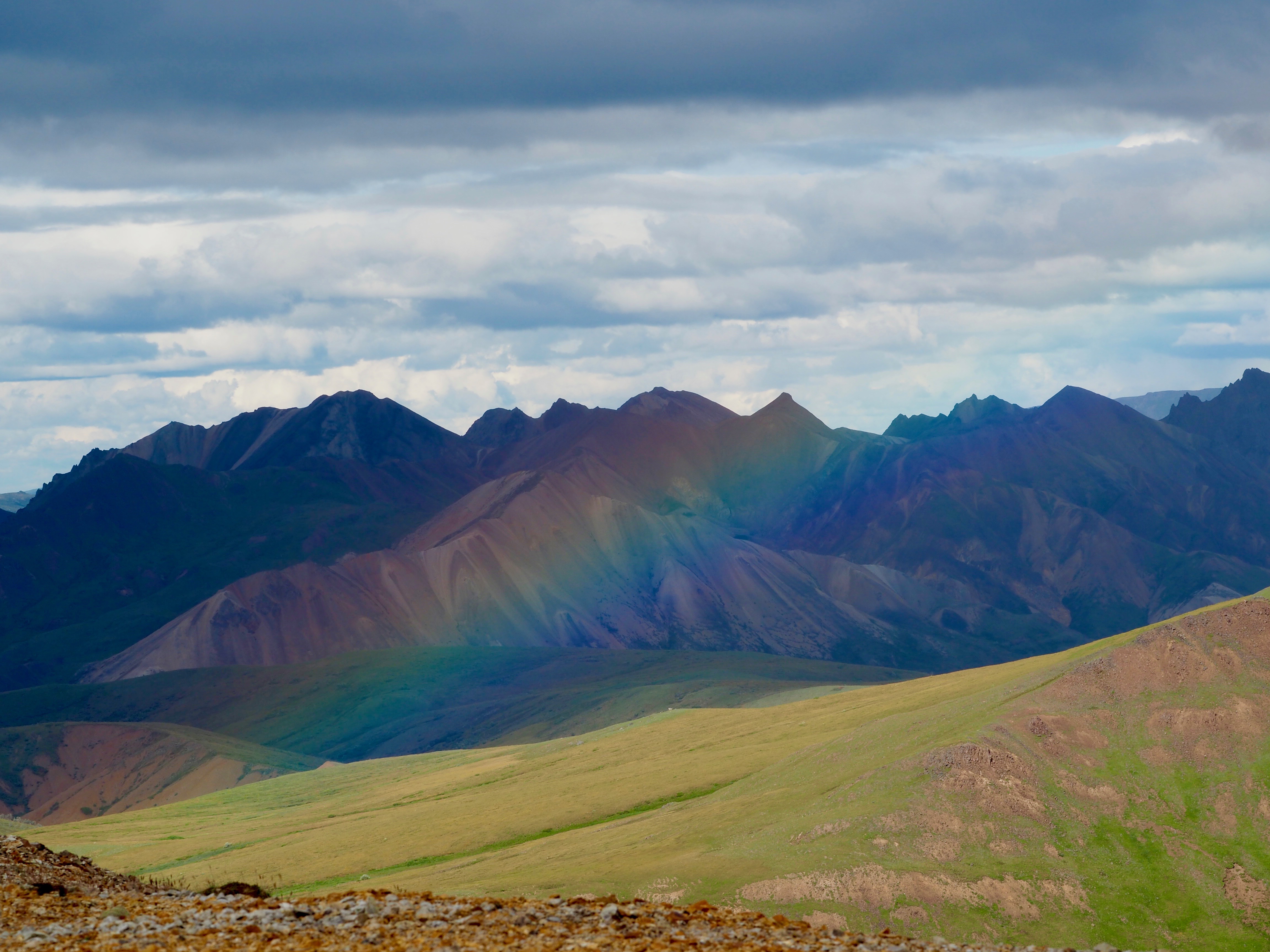Denali National Park