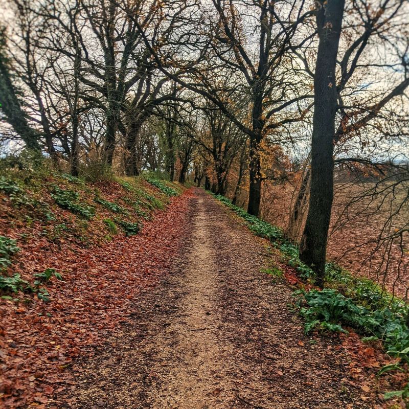 Research Michael Fop - Abstract Pattern Collection - High Resolution Quality