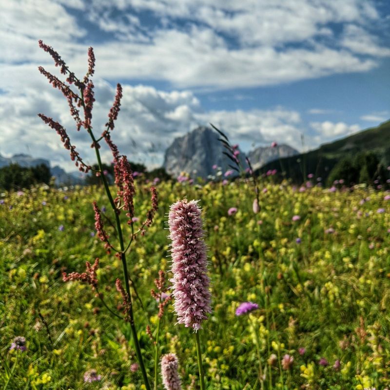 Research Michael Fop - Space Design Collection - 4K Quality