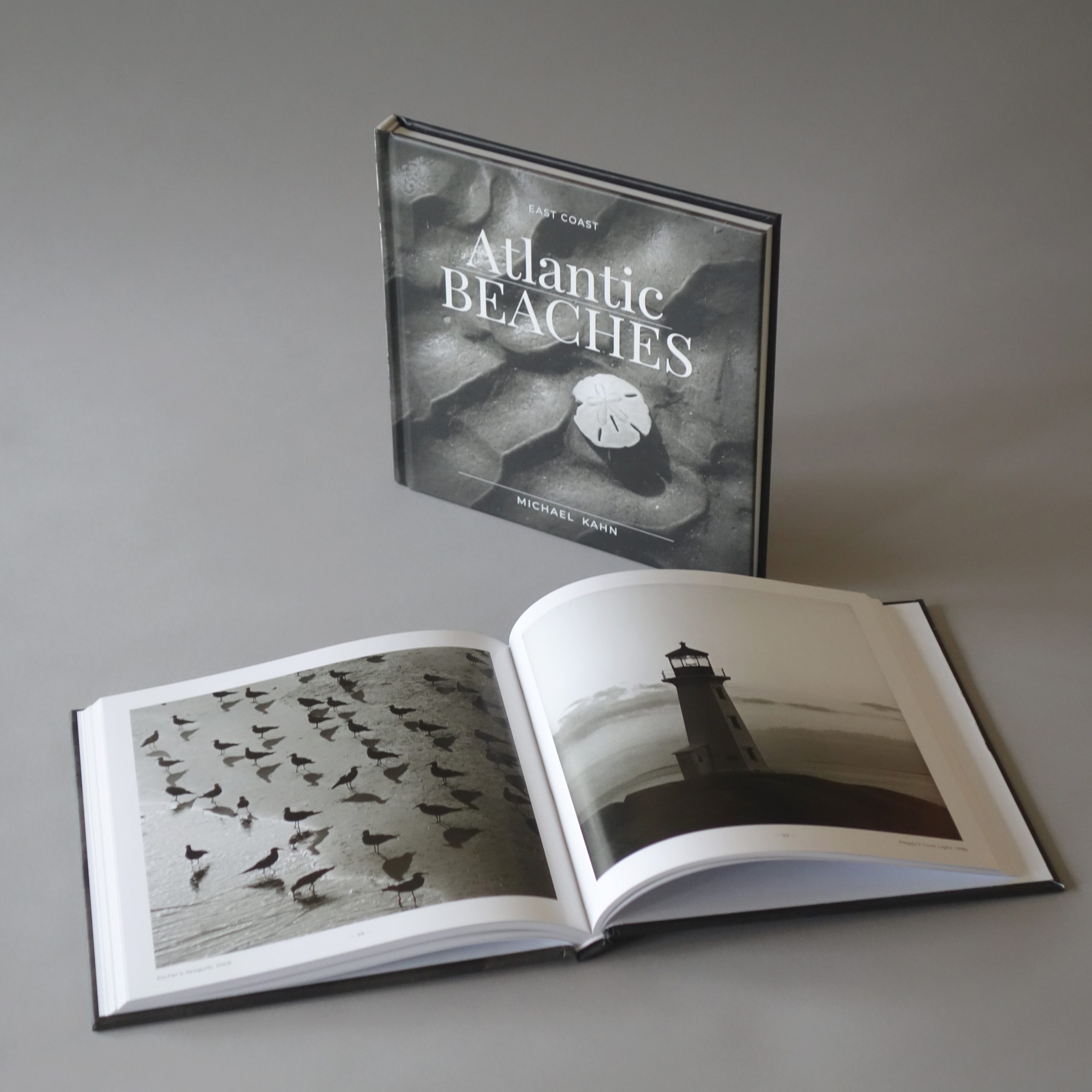East Coast Atlantic Beaches Photography Book Purchase | Michael