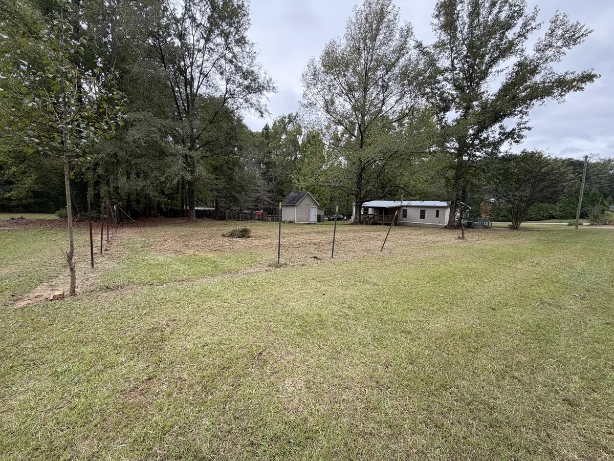 The same yard with grass and overgrowth cut back after cleanup.